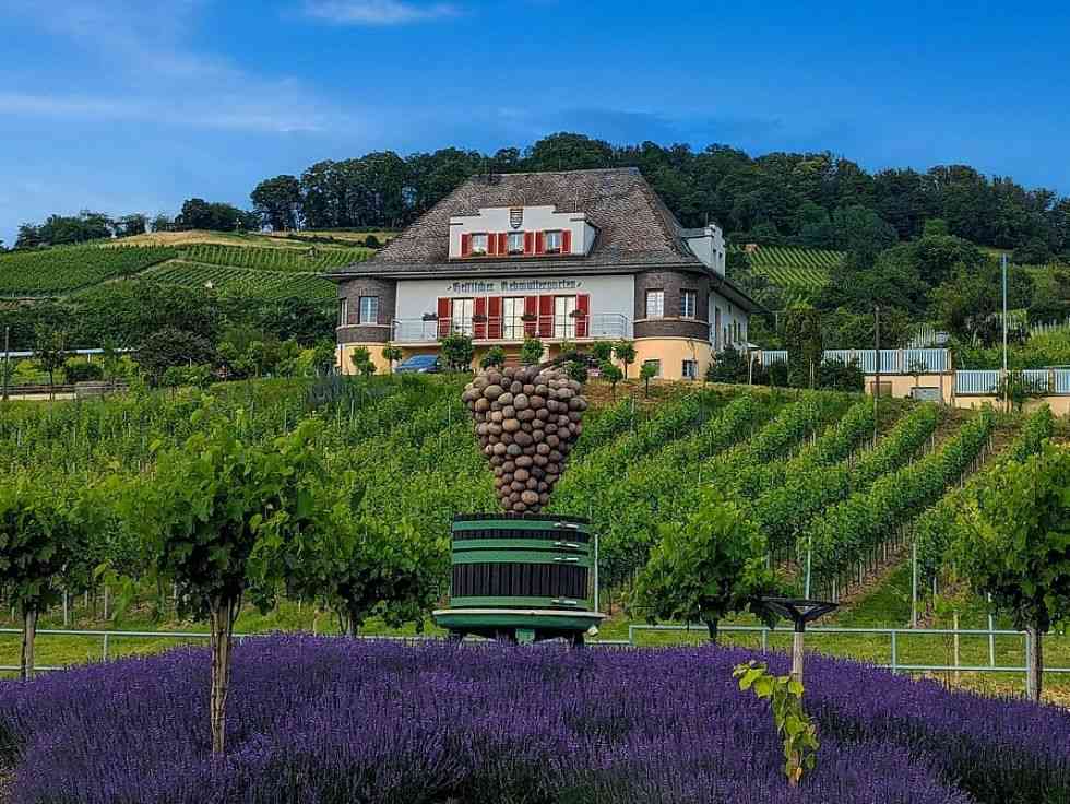 Rebmuttergarten Heppenheim
