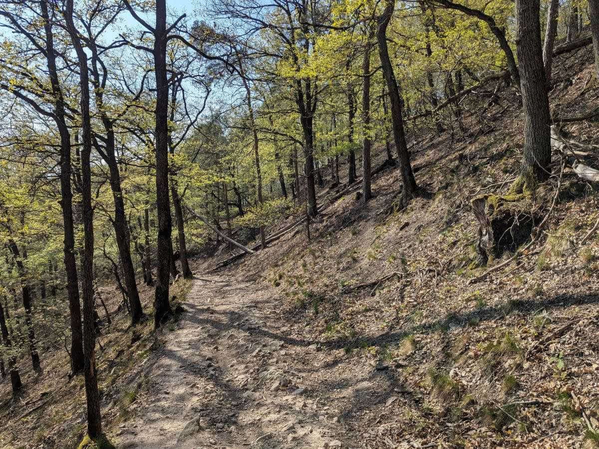 Steiler Geröllpfad bergab zur Burgruine Schauenburg