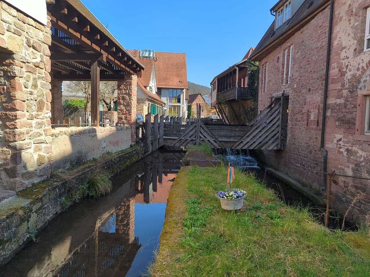 Historisches Wehr mit angrenzenden Fachwerkhäusern in Schriesheim