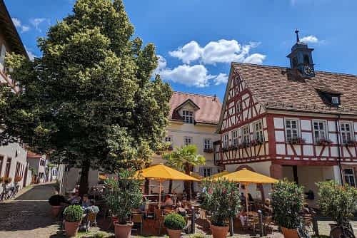 Mehr als einen Spaziergang durch die Schriesheimer Weinberge hatten wir nicht geplant, als wir uns aufmachten, einen Gutschein für ein Picknick im Weinberg einzulösen. Dass daraus schlussendlich ein erlebnisreicher Ausflugstag wurde, hat uns völlig überrascht.