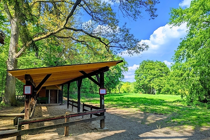 Ponyreiten am Steinbrücker Teich in Darmstadt – Kinder genießen das Reiten auf Ponys am Oberwaldhaus