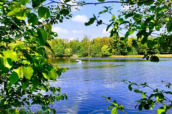 Steinbrücker Teich– Tretbootfahren und Rudern im beliebten Naherholungsgebiet von Darmstadt