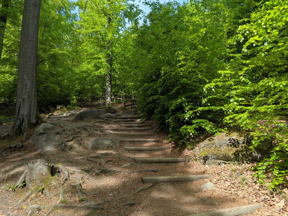 Weg am Felsenmeer, der Parallel der Klettersteine verläuft  