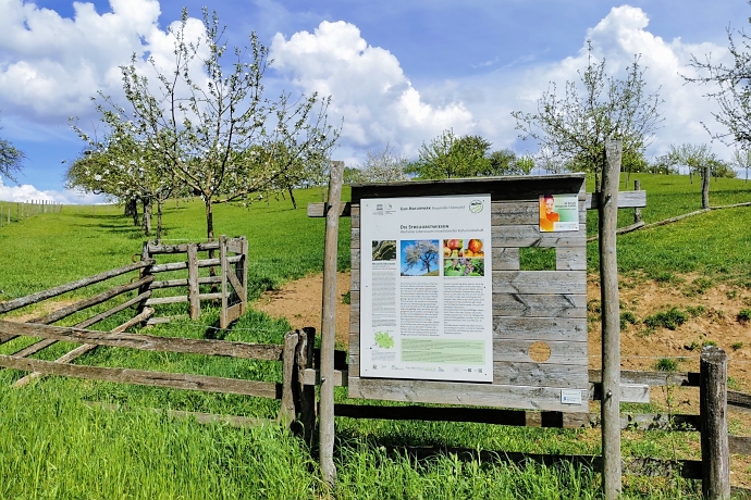 Odenwald-typische Streuobstwiesen auf dem Pfad der Vielfalt Lauteral