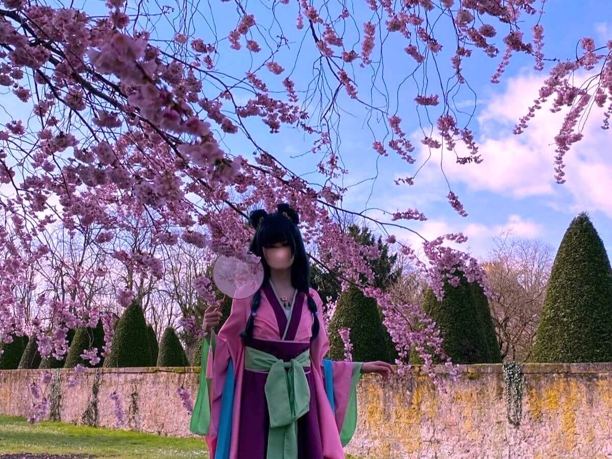 Fast wie in Japan. Blühende Kirschzweige im Schlossgarten Schwetzingen. 