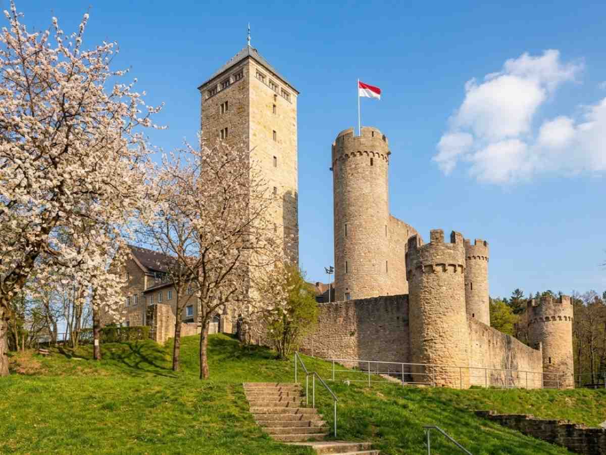 Die historische Starkenburg in Heppenheim an der Bergstraße an einem sonnigen Frühlingstag mit blühenden Bäumen im Vordergrund.