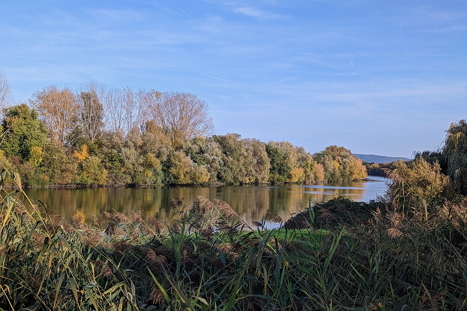 Mainradweg bei Hanau