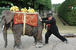 Jährlich im Sommer findet das Darmstädter Straßentheaterfestival Just for Fun statt. Quer durch die Innenstadt zeigen internationale Künstler und Artisten auf verschiedenen Freilicht-Bühnen ihre Künste und das bei freiem Eintritt.
