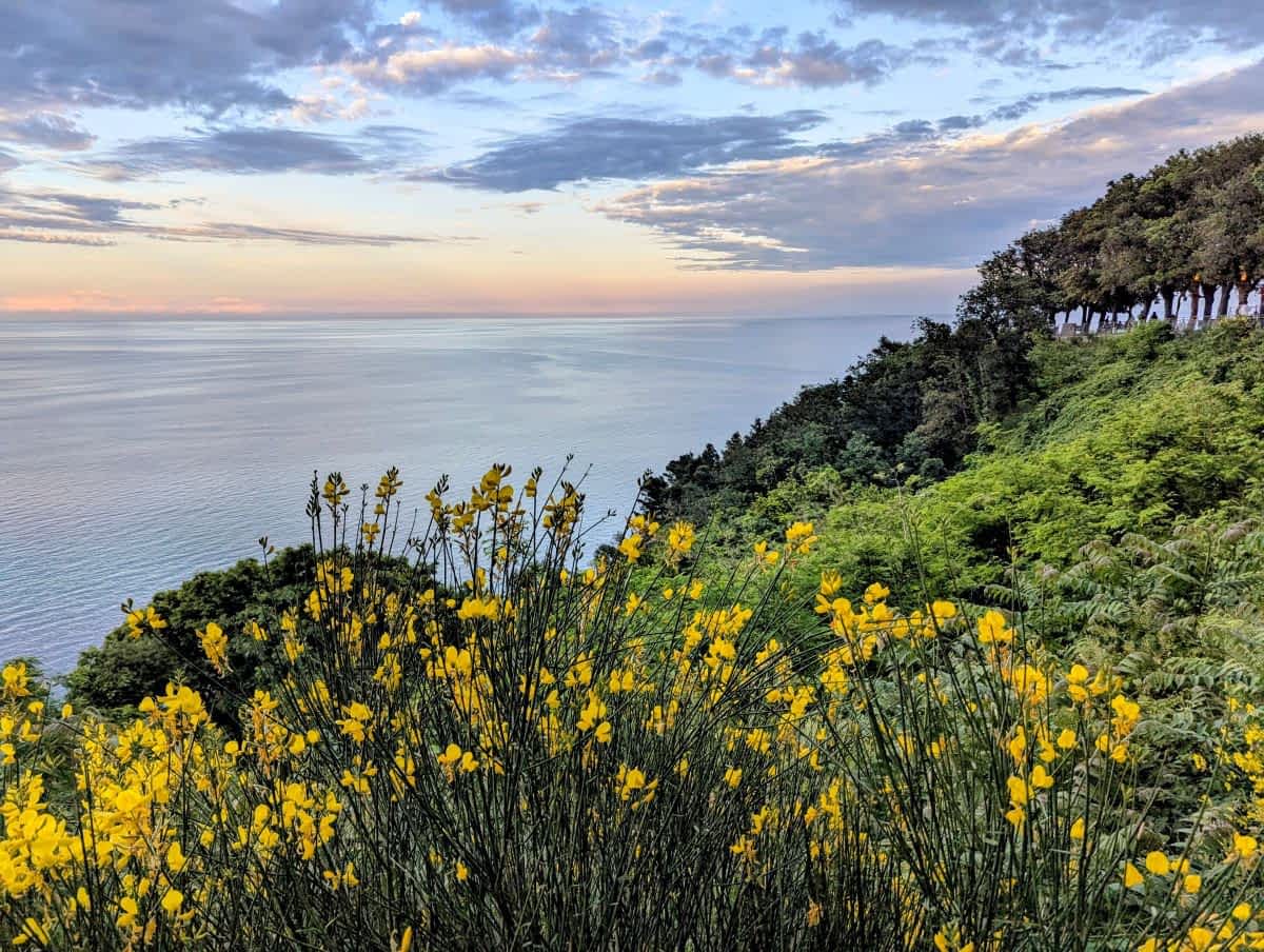 Riviera del Conero Blick von Sirolo aufs Meer 