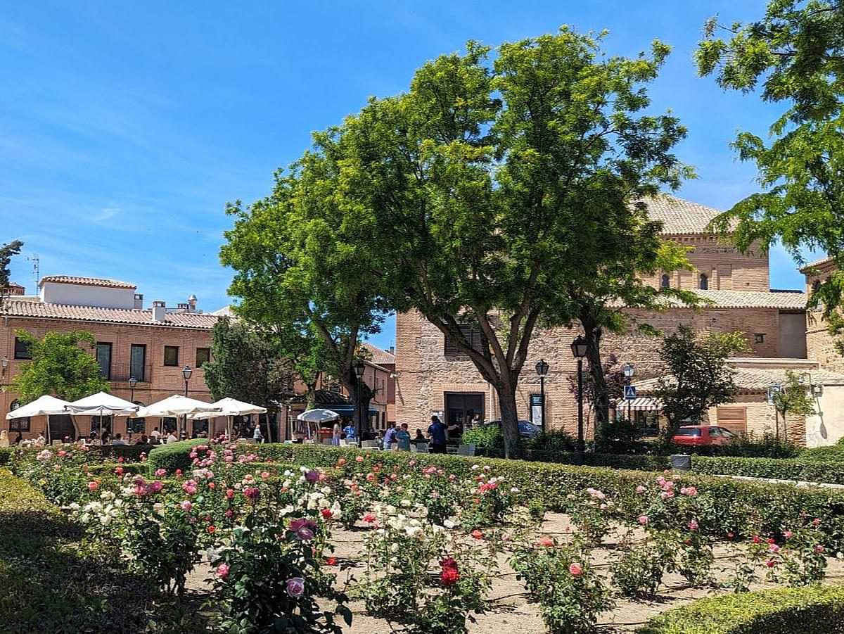 Garten vor der Synagoge mit Rosenbeet und Caféterrasse