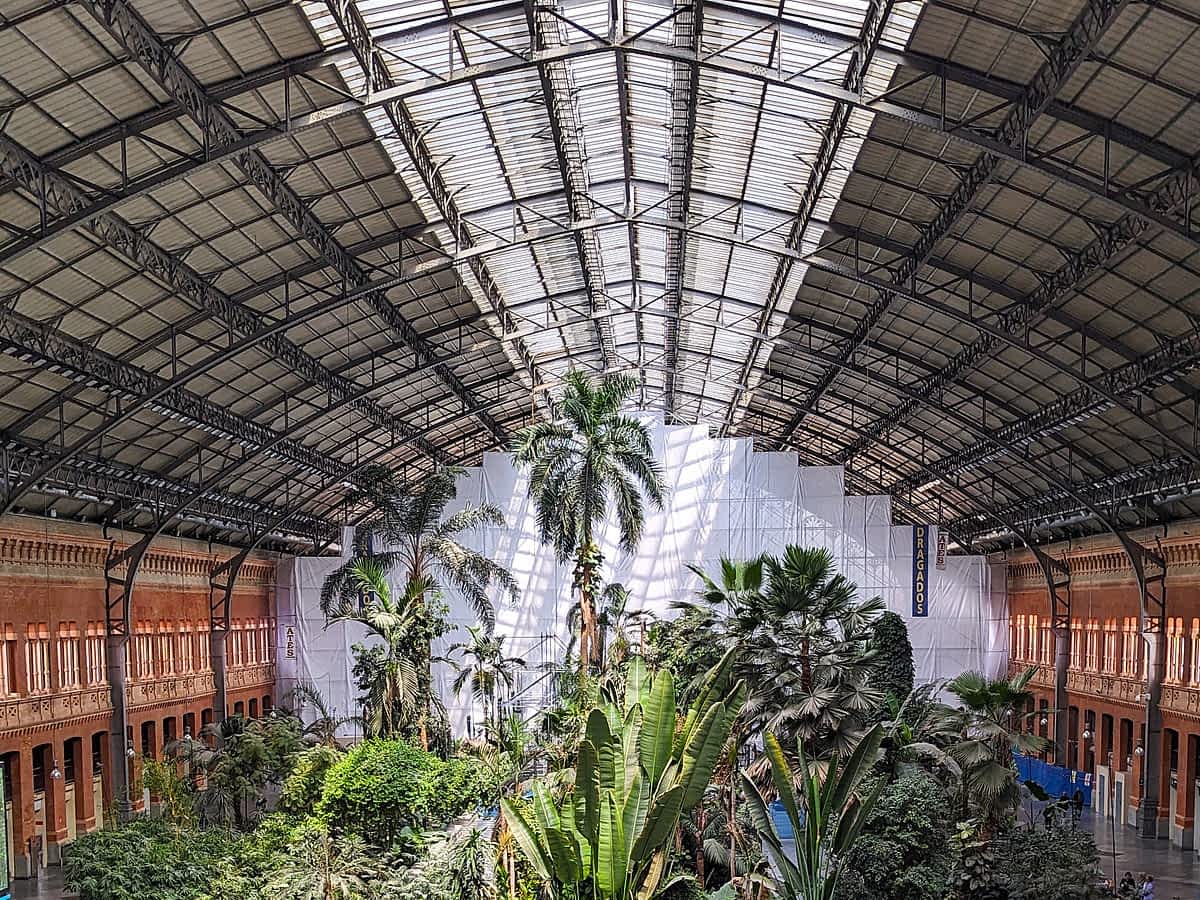 Innenbereich des Bahnhofs Atocha mit hohen Palmen und tropischer Pflanzenwelt.