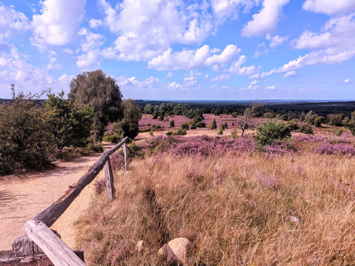 Sandwege führen durch die Lüneburger Heide 
