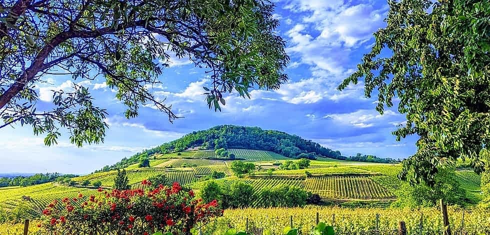 Ausflugstipps und Freizeitangebote mit interaktiver Freizeitkarte für die Bergstrasse, Odenwald und dasRhein-Main-Neckargebiet. Außerdem Reisetipps und Städtereisen  